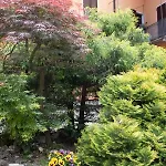 Διαμέρισμα Il Monastero *